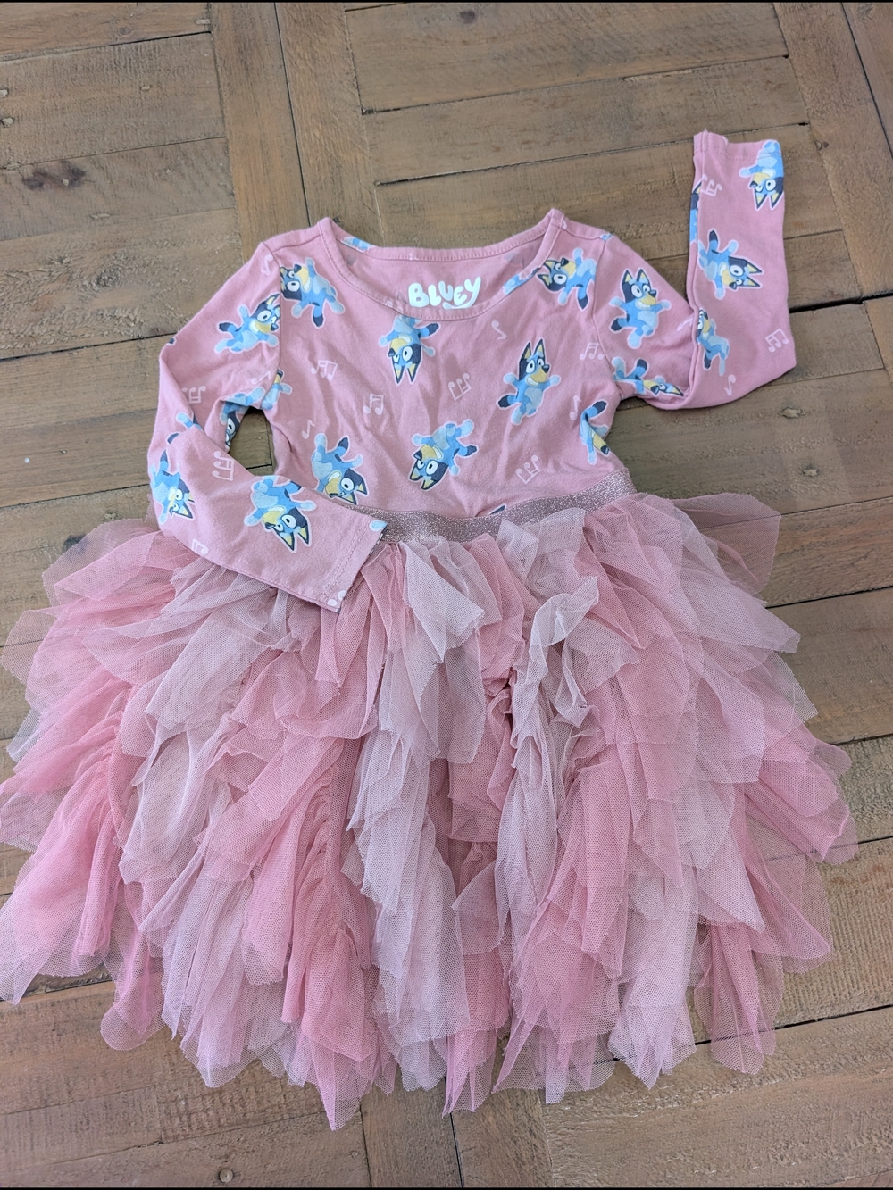 NWOT Bluey Pink Bluey Character Print Dress